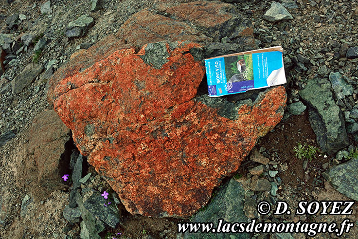 Photo n201607079
Serpentinite oxyde
Clich Dominique SOYEZ
Copyright Reproduction interdite sans autorisation