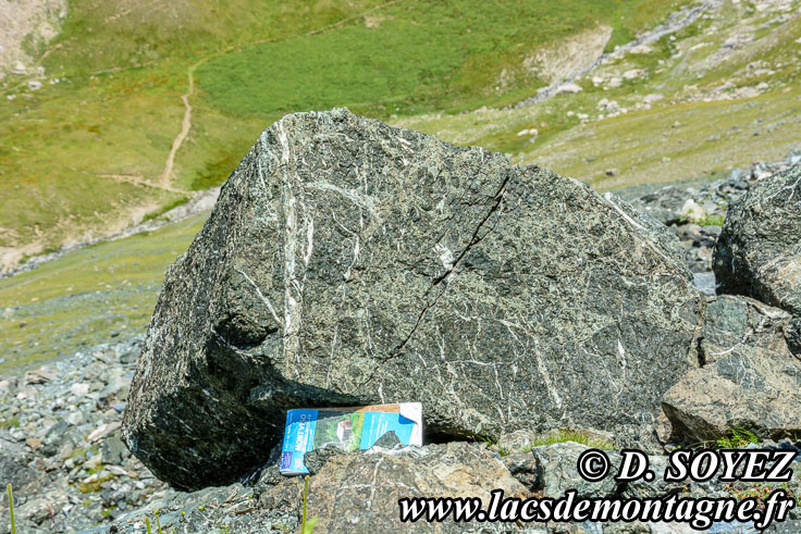 Photo n201707043
Marbre vert = ophicalcite = serpentine + calcite
Carrire de marbre vert (col sud du Cristillan, Haute Ubaye, Alpes de Haute Provence)
Clich Dominique SOYEZ
Copyright Reproduction interdite sans autorisation