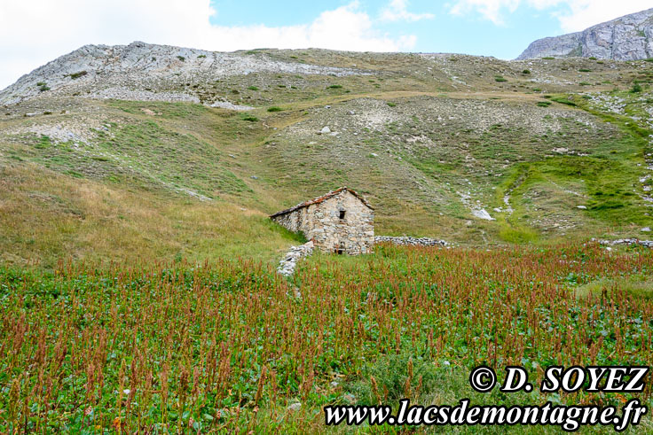 Photo n201707076
Bergerie infrieure de Mary (Haute Ubaye, Alpes de Haute Provence)
Clich Dominique SOYEZ
Copyright Reproduction interdite sans autorisation