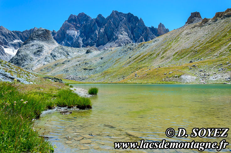 Photo n201507171
Lac suprieur de Marinet Vert Nord (2682m) (Haute Ubaye, Alpes de Haute Provence)
Clich Dominique SOYEZ
Copyright Reproduction interdite sans autorisation