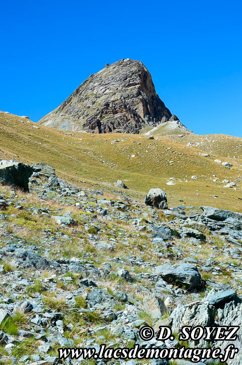 Photo n201507173
Aiguille large (2857m)) (2540m) (Haute Ubaye, Alpes de Haute Provence)
Clich Dominique SOYEZ
Copyright Reproduction interdite sans autorisation