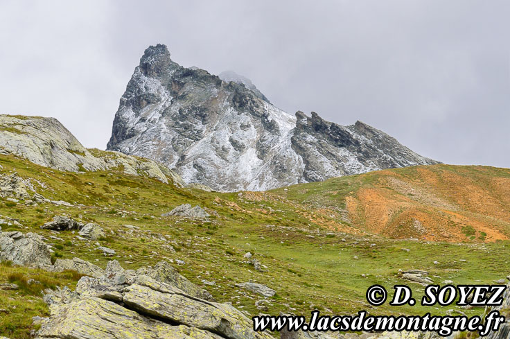 Photo n201207046
Face NORD de la Spera (3004m) (Haute Ubaye, Alpes de Haute Provence)
Clich Dominique SOYEZ
Copyright Reproduction interdite sans autorisation