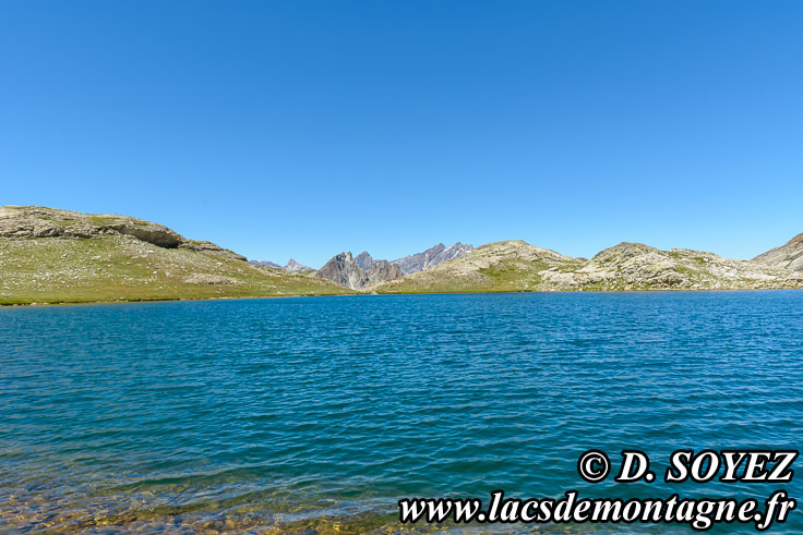 Photo n202007027
Lac du Roure SUD (2653m) (Haute Ubaye, Alpes de Haute Provence)
Clich Dominique SOYEZ
Copyright Reproduction interdite sans autorisation