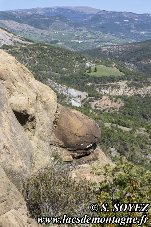 Photo n202404020
Boules de grs de Saint-Andr-de-Rosans (745m) (Baronnies, Hautes-Alpes)
Clich Serge SOYEZ
Copyright Reproduction interdite sans autorisation