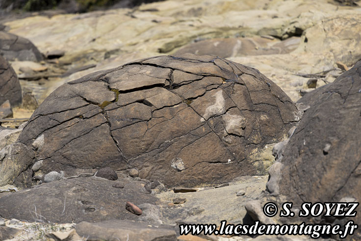 Photo n202404023
Boules de grs de Saint-Andr-de-Rosans (745m) (Baronnies, Hautes-Alpes)
Clich Serge SOYEZ
Copyright Reproduction interdite sans autorisation