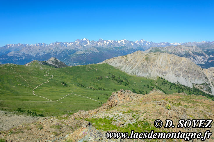Photo n�201607002
Le Chenaillet (2650m) (Brian�onnais, Hautes-Alpes)
Clich� Dominique SOYEZ
Copyright Reproduction interdite sans autorisation