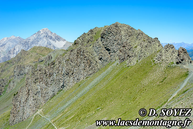 Photo n�201607010
Collet Vert, Massif du Chenaillet (Brian�onnais, Hautes-Alpes)
Clich� Dominique SOYEZ
Copyright Reproduction interdite sans autorisation