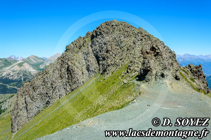 Photo n201607011
Collet Vert, Massif du Chenaillet (Brianonnais, Hautes-Alpes)
Clich Dominique SOYEZ
Copyright Reproduction interdite sans autorisation