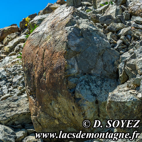 Photo n�201607016
pillow lavas
(Montgen�vre, Hautes-Alpes)
Clich� Dominique SOYEZ
Copyright Reproduction interdite sans autorisation