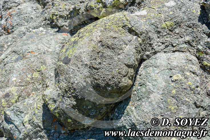 Photo n201607017
Comment les pillow-lavas se forment-elles?
Clich Dominique SOYEZ
Copyright Reproduction interdite sans autorisation