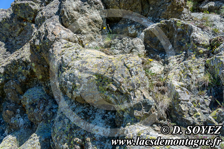 Photo n201607019
Comment les pillow-lavas se forment-elles?
Clich Dominique SOYEZ
Copyright Reproduction interdite sans autorisation