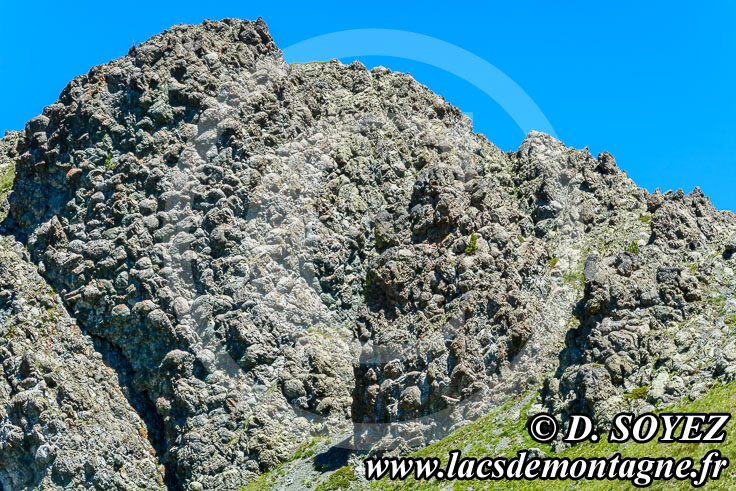 Photo n201607020
Collet Vert, Massif du Chenaillet (Brianonnais, Hautes-Alpes) 
Clich Dominique SOYEZ
Copyright Reproduction interdite sans autorisation