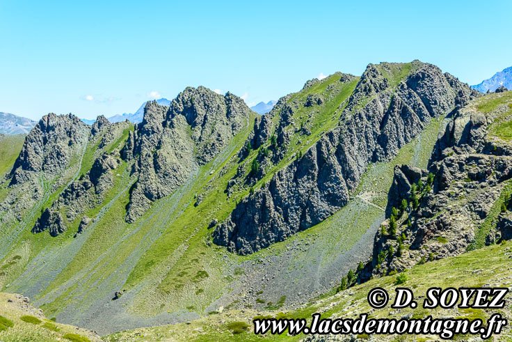Photo n�201607022
Laves en coussins du versant SUD du Collet Vert (piton 2558 m), Massif du Chenaillet (Brian�onnais, Hautes-Alpes)
Clich� Dominique SOYEZ
Copyright Reproduction interdite sans autorisation