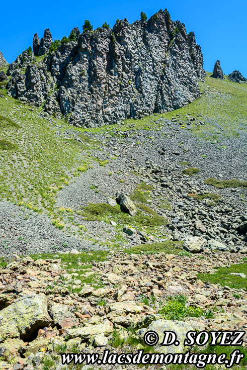 Photo n�201607023
Collet Vert, Massif du Chenaillet (Brian�onnais, Hautes-Alpes)
Clich� Dominique SOYEZ
Copyright Reproduction interdite sans autorisation