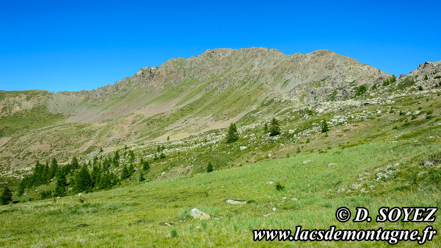 Photo n�201607038
Comment les pillow-lavas se forment-elles�?
Clich� Dominique SOYEZ
Copyright Reproduction interdite sans autorisation