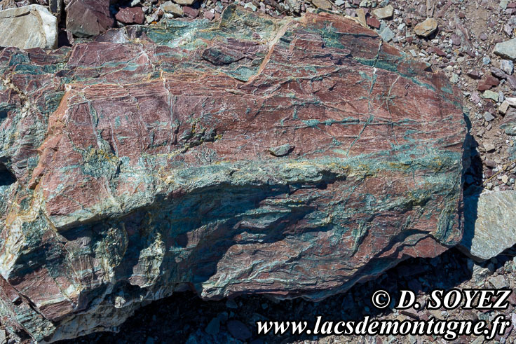 Photo n�201607047
Radiolarite au Rocher de la Perdrix (2407m)
� l'ESE du Sommet des Anges (2459m)
(Montgen�vre, Hautes-Alpes)
Clich� Dominique SOYEZ
Copyright Reproduction interdite sans autorisation