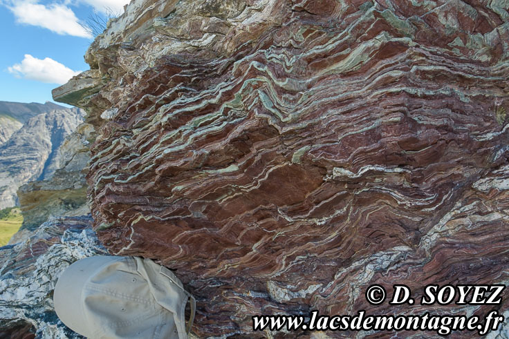 Photo n�201607049
Radiolarite au Rocher de la Perdrix (2407m)
� l'ESE du Sommet des Anges (2459m)
(Montgen�vre, Hautes-Alpes)
Clich� Dominique SOYEZ
Copyright Reproduction interdite sans autorisation