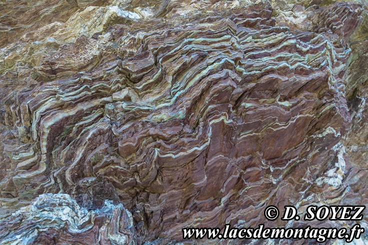 Photo n�201607050
Radiolarite au Rocher de la Perdrix (2407m)
� l'ESE du Sommet des Anges (2459m)
(Montgen�vre, Hautes-Alpes)
Clich� Dominique SOYEZ
Copyright Reproduction interdite sans autorisation