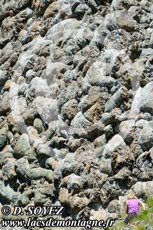Photo n201707010
Laves en coussins du versant SUD du Collet Vert (piton 2558 m), Massif du Chenaillet (Brianonnais, Hautes-Alpes)
Clich Dominique SOYEZ
Copyright Reproduction interdite sans autorisation