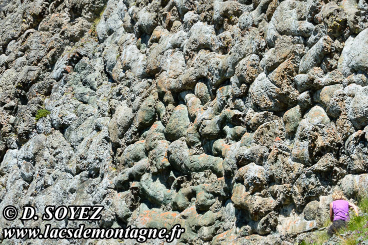 Photo n�201707011
Laves en coussins du versant SUD du Collet Vert (piton 2558 m), Massif du Chenaillet (Brian�onnais, Hautes-Alpes)
Clich� Dominique SOYEZ
Copyright Reproduction interdite sans autorisation