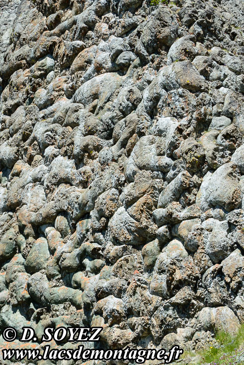 Photo n�201707013
Laves en coussins du versant SUD du Collet Vert (piton 2558 m), Massif du Chenaillet (Brian�onnais, Hautes-Alpes)
Clich� Dominique SOYEZ
Copyright Reproduction interdite sans autorisation
