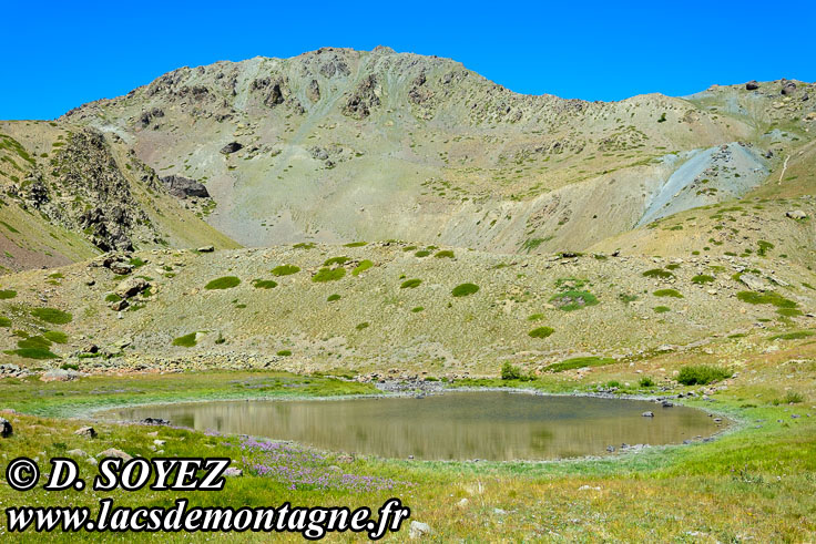 Photo n°201607042
Lac Noir (2226m) (Briançonnais, Hautes-Alpes)
Cliché Dominique SOYEZ
Copyright Reproduction interdite sans autorisation