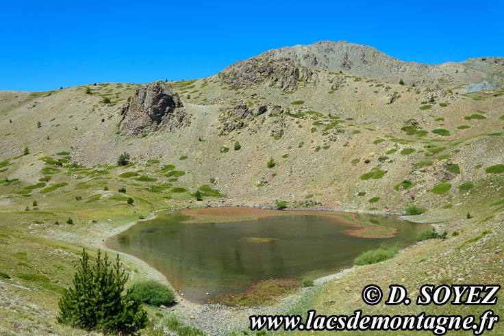 Photo n201607060
Lac Noir (2226m) (Brianonnais, Hautes-Alpes)
Clich Dominique SOYEZ
Copyright Reproduction interdite sans autorisation