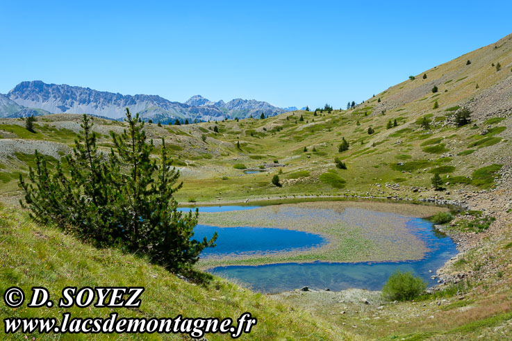 Photo n°201607062
Lac Noir (2226m) (Briançonnais, Hautes-Alpes)
Cliché Dominique SOYEZ
Copyright Reproduction interdite sans autorisation