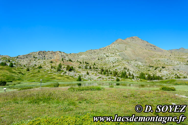 Photo n201607069
Lac des Sarailles (2236m) (Brianonnais, Hautes-Alpes)
Clich Dominique SOYEZ
Copyright Reproduction interdite sans autorisation