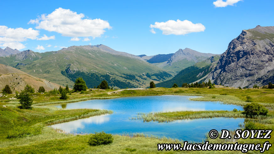 Photo n201607070
Lac des Sarailles (2236m) (Brianonnais, Hautes-Alpes)
Clich Dominique SOYEZ
Copyright Reproduction interdite sans autorisation