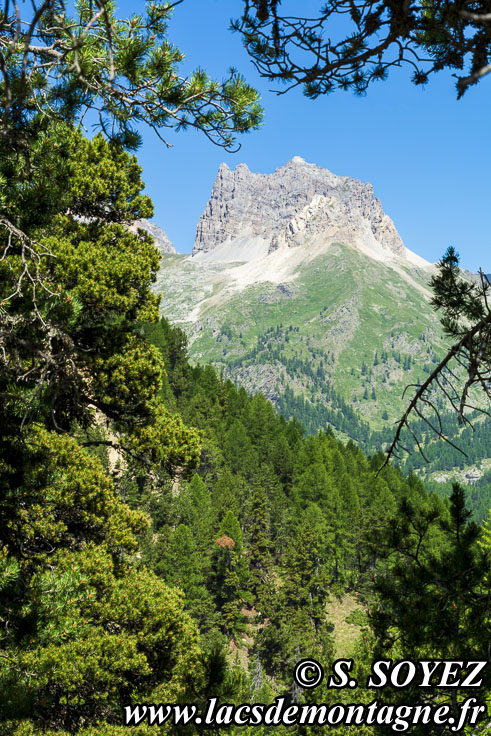 Photo n202207134
Valle troite, Brianonnais, Hautes-Alpes
Clich Serge SOYEZ
Copyright Reproduction interdite sans autorisation