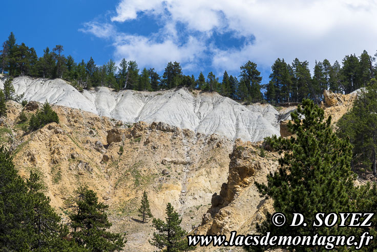 Photo n202307053
Cargneules triasiques (jaunes), surmontes dalluvions glaciaires (blanches).
Nvache, Brianonnais, Hautes-Alpes
Clich Dominique SOYEZ
Copyright Reproduction interdite sans autorisation