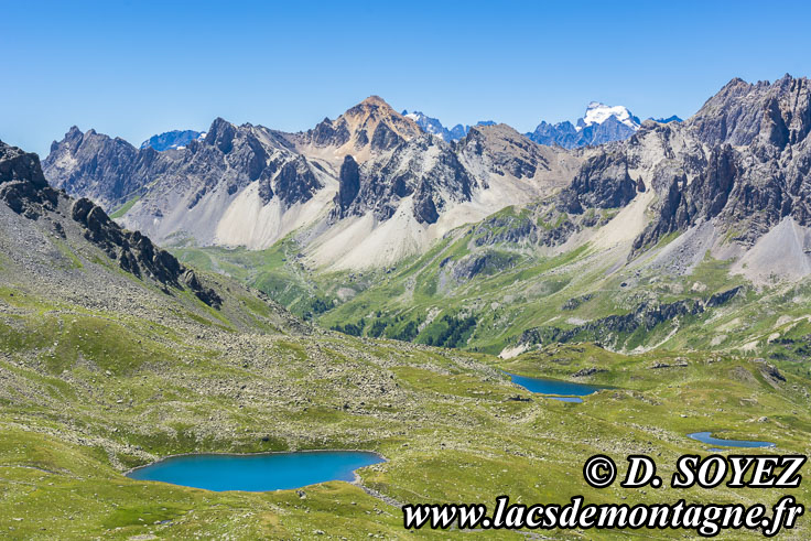 Photo n202207143
Lac Rond (2446m) (Brianonnais, Hautes-Alpes)
Clich Dominique SOYEZ
Copyright Reproduction interdite sans autorisation