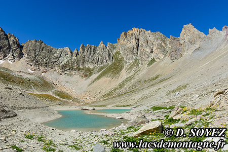 Lac Rouge (2585m)
(Brian�onnais, Hautes-Alpes)
Clich� Dominique SOYEZ
Copyright Reproduction interdite sans autorisation