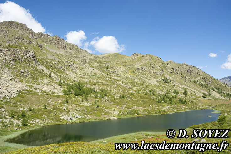 Photo n°202107033
Lac de Cristol (2244m) (Briançonnais, Hautes-Alpes)
Cliché Dominique SOYEZ
Copyright Reproduction interdite sans autorisation