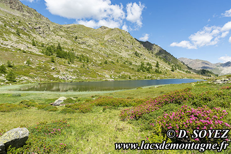 Lac de Cristol (2244m)
(Col du Granon, (Brian�onnais, Hautes-Alpes)
Clich� Dominique SOYEZ
Copyright Reproduction interdite sans autorisation