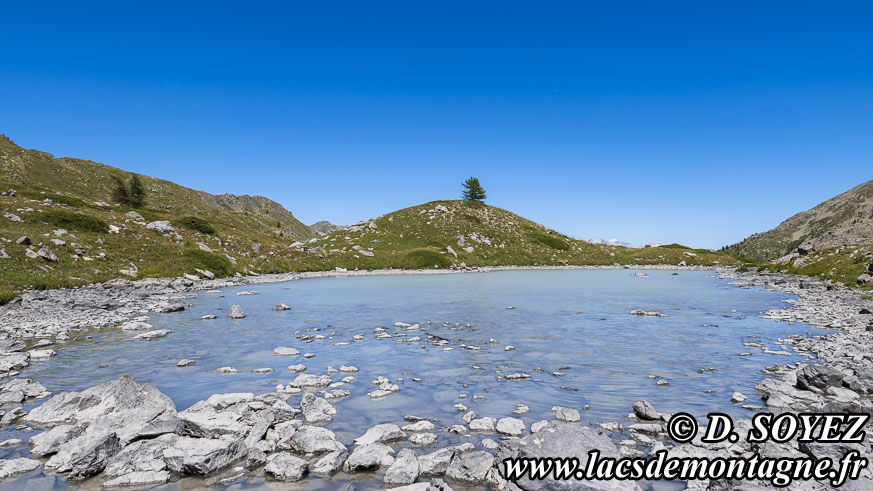 Photo n202507078
Lac de Priv (2306m) (Brianonnais, Hautes-Alpes)
Clich Dominique SOYEZ
Copyright Reproduction interdite sans autorisation