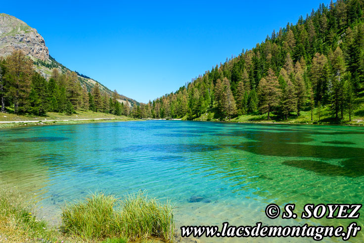 Photo n201607199
Lac de l'Orceyrette (1927m) (Brianonnais, Hautes-Alpes)
Clich Serge SOYEZ
Copyright Reproduction interdite sans autorisation