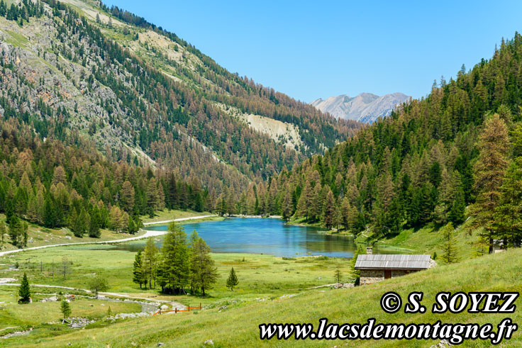 Photo n201607200
Lac de l'Orceyrette (1927m) (Brianonnais, Hautes-Alpes)
Clich Serge SOYEZ
Copyright Reproduction interdite sans autorisation