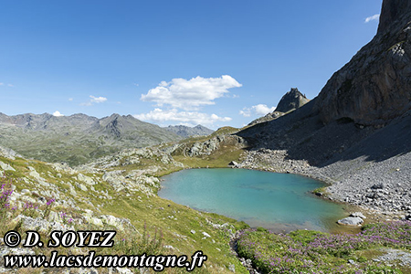 Lac de la Clar�e (2433m)
(Brian�onnais, Hautes-Alpes)
Clich� Dominique SOYEZ
Copyright Reproduction interdite sans autorisation
