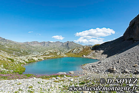 Lac de la Clarée (2433m)
(Briançonnais, Hautes-Alpes)
Cliché Dominique SOYEZ
Copyright Reproduction interdite sans autorisation