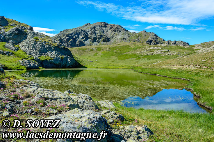 Photo n201707004
Lac du Rocher de l'Aigle (2487m)(Montgenvre, Brianonnais, Hautes-Alpes)
Clich Dominique SOYEZ
Copyright Reproduction interdite sans autorisation