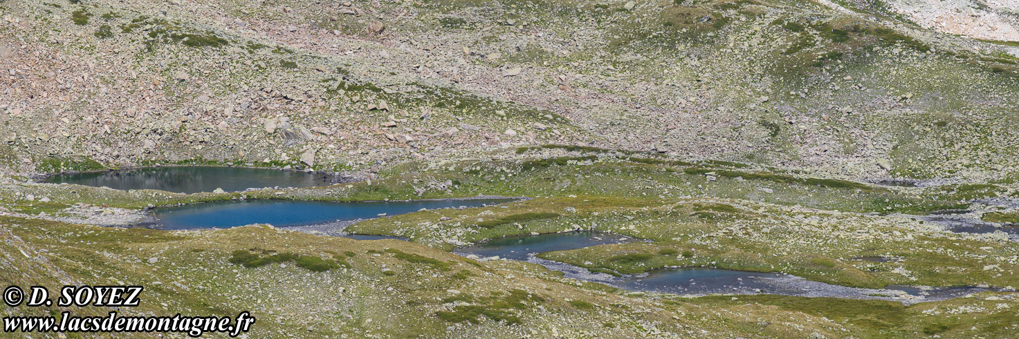 Photo n�202507092
Lacs de la Grande Temp�te (2480m) (Vall�e �troite, Brian�onnais, Hautes-Alpes)
Clich� Dominique SOYEZ
Copyright Reproduction interdite sans autorisation