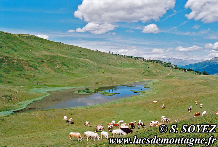 Photo n20100724
Lago di Fontana Fredda (2180m) (ITALIE)
Clich Serge SOYEZ
Copyright Reproduction interdite sans autorisation