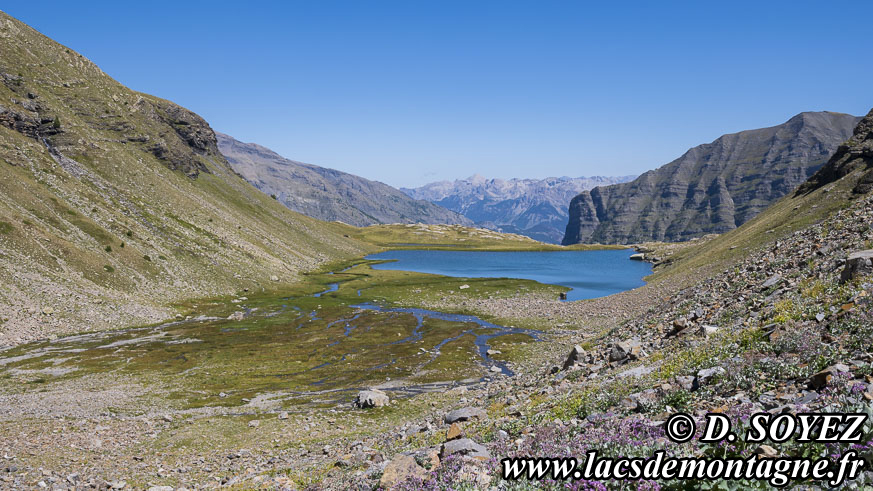 Photo n�202607064
Lac Faravel (2386m) (�crins, Hautes-Alpes)
Clich� Dominique SOYEZ
Copyright Reproduction interdite sans autorisation
