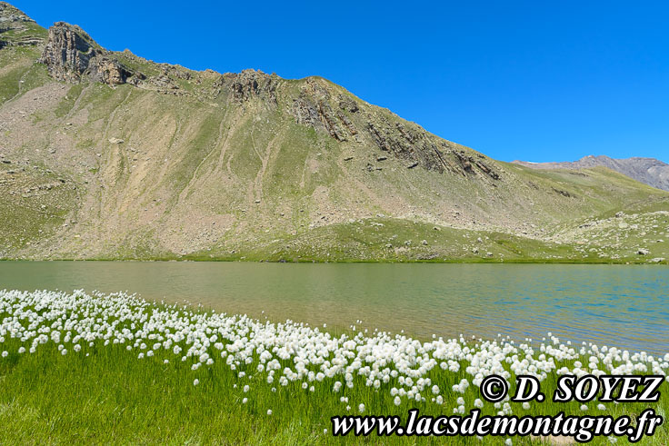 Photo n201907057
Lac Palluel (2472m) (crins, Hautes-Alpes)
Clich Dominique SOYEZ
Copyright Reproduction interdite sans autorisation