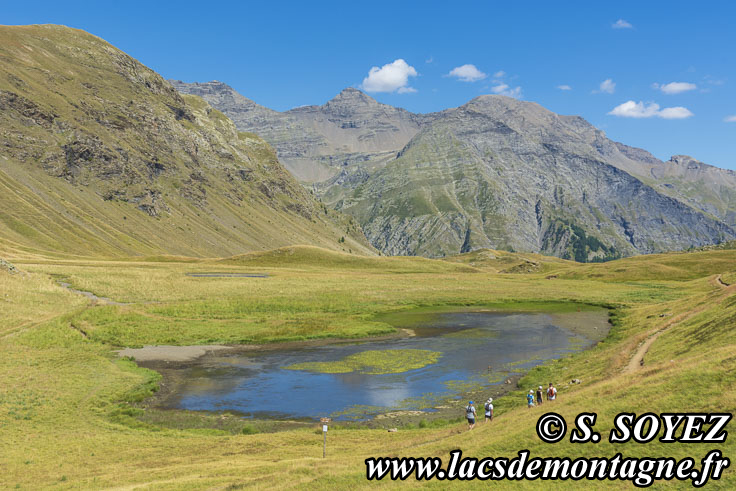 202207100
Lac de Jujal (2180m) (Champsaur, crins, Hautes-Alpes)
Clich Serge SOYEZ
Copyright Reproduction interdite sans autorisation