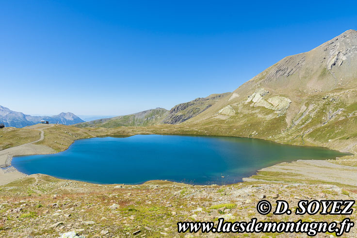 202207084
Grand lac des Estaris (2558m) (Champsaur, Écrins, Hautes-Alpes)
Cliché Dominique SOYEZ
Copyright Reproduction interdite sans autorisation