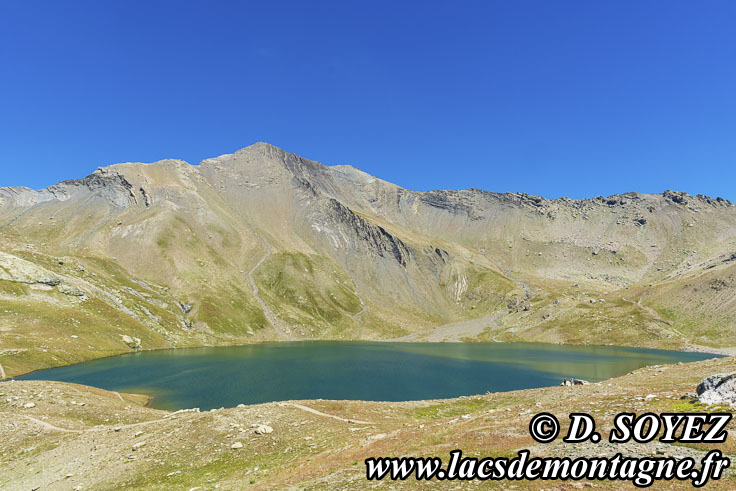 202207087
Grand lac des Estaris (2558m) (Champsaur, Écrins, Hautes-Alpes)
Cliché Dominique SOYEZ
Copyright Reproduction interdite sans autorisation