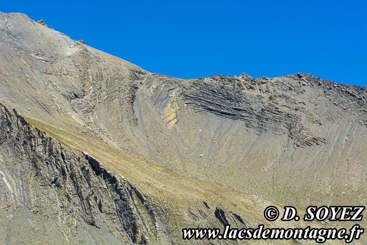 202207088
Dtail sur les Grs du Champsaur de la Pointe des Estaris (3086m) (Champsaur, crins, Hautes-Alpes)
Clich Dominique SOYEZ
Copyright Reproduction interdite sans autorisation
